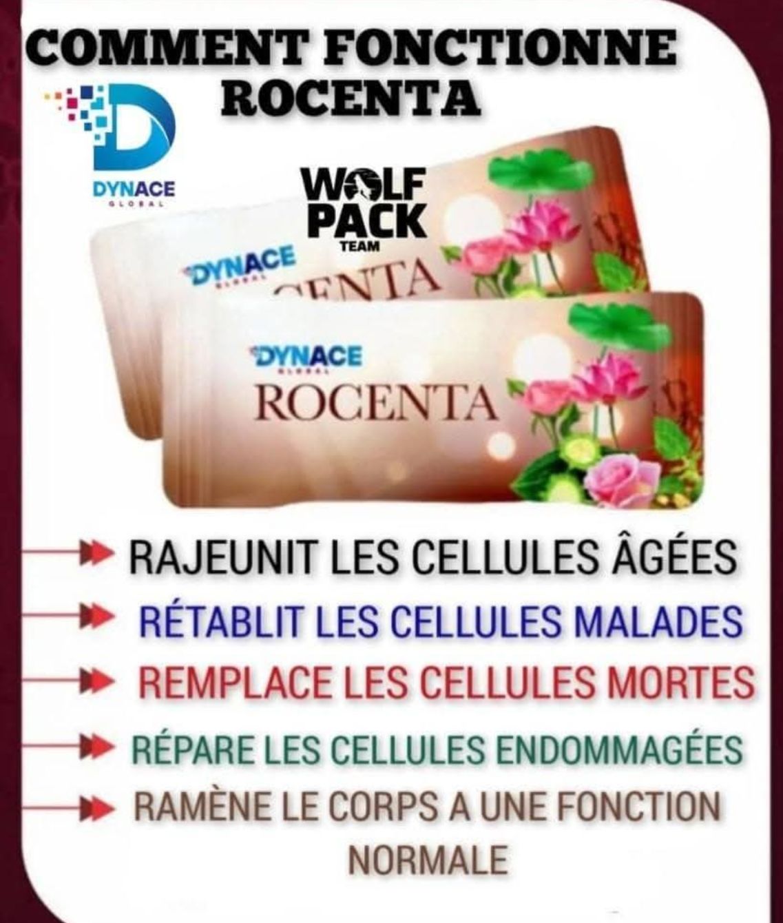 Dynace Rocenta – Thérapie Cellulaire et Régénération Naturelle